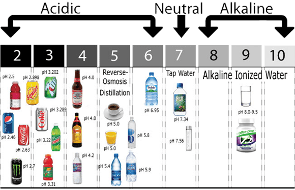 Alkalinity in Foods